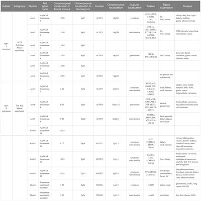 Progress of the acyl-Coenzyme A thioester hydrolase family in cancer